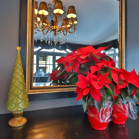 Schneider Hof Boutique 4*