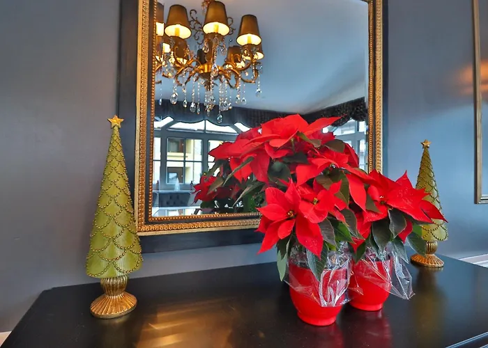 Schneider Hof Boutique 4*